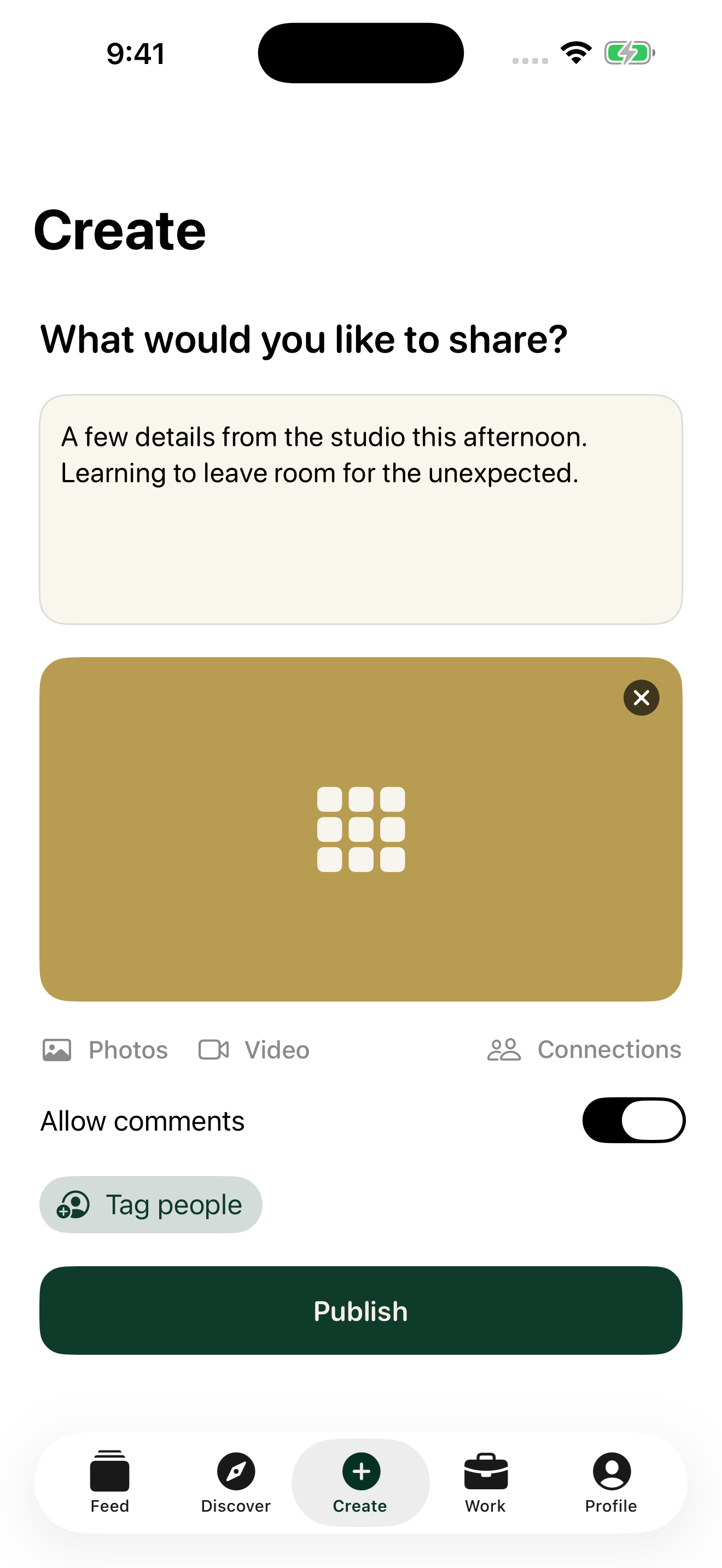 Plain Create view for publishing a post with media and visibility controls